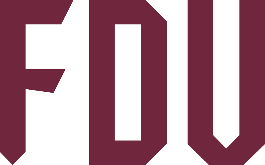 Fairleigh Dickinson Knights 2023-Pres Wordmark Logo v4 diy iron on heat transfer